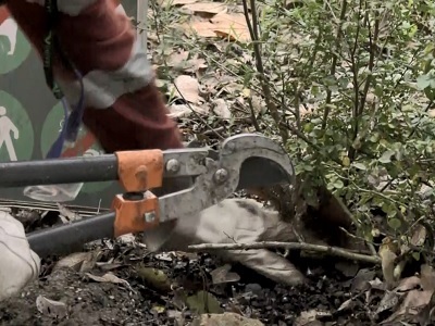 Lavori di Pubblica Utilità Incontro tra Sergio Mattarella e i detenuti-giardinieri impegnati nella pulizia dei Giardini del Quirinale