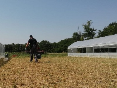 lavoro detenuti resinserimento