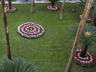 Giardino con palme nane