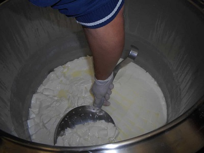 Attività casearia nel carcere-fattoria di Ancona