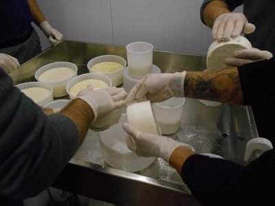 Attività casearia nel carcere-fattoria di Ancona
