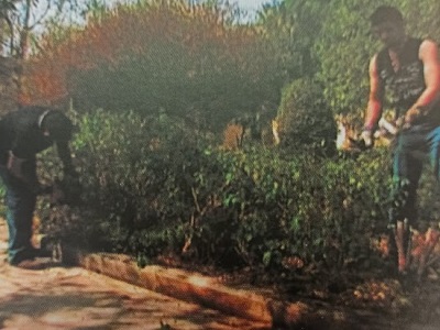 terra nostra progetto fornelli 1