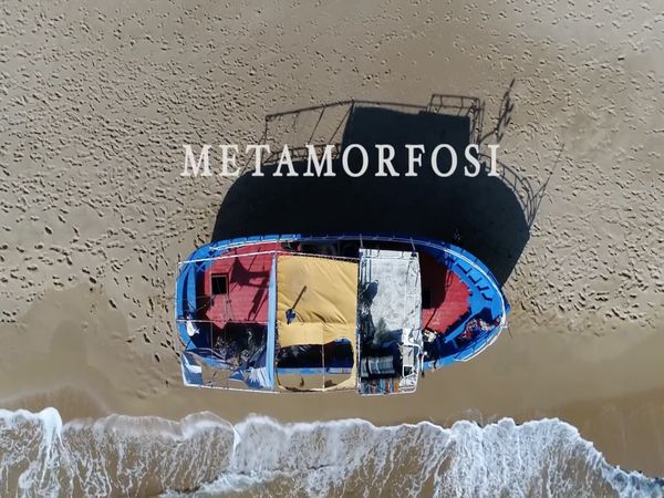 metamorfosi mostra venezia