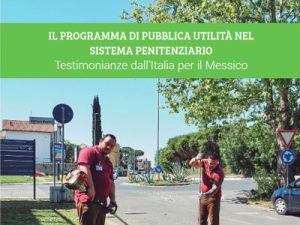 Copertina del Manuale sul Programma di pubblica utilità in Italia