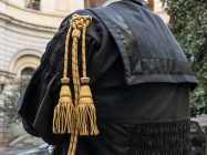 Toga avvocato cassazionista (foto del Ministero della Giustizia)