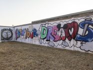 murales IPM Casal del Marmo