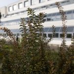 Il Palazzo accoglie - Viterbo