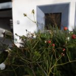 Il Palazzo accoglie - Viterbo