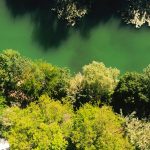 Alberi, fiume che scorre. Immagine generica per ambiente, tutela dell'ambiente, reati ambientali (Credit: Pexels)