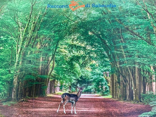 copertina del libro Racconti di Sabaudia